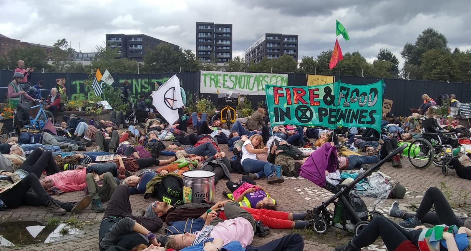 Trees Not Cars win judicial review against Manchester City Council